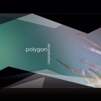 Purchase Polygon - Einzelheiten