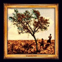 Purchase Wizened Tree - Rock N Roll From Tocantins