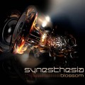 Buy Synesthesia - Blossom (EP) Mp3 Download