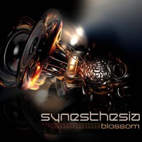 Purchase Synesthesia - Blossom (EP)