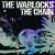 Buy The Warlocks - The Chain Mp3 Download