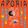 Buy Sufjan Stevens - Aporia Mp3 Download