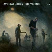 Purchase Avishai Cohen - Big Vicious