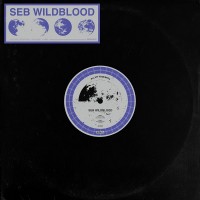 Purchase Seb Wildblood - Bad Space Habits (CDS)