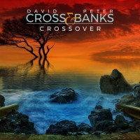 Purchase David Cross - Crossover