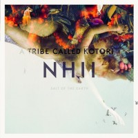 Purchase Nhii - Salt Of The Earth