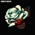 Buy Grey Daze - Amends (Limited Edition) Mp3 Download