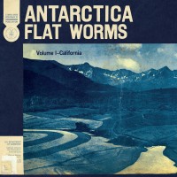 Purchase Flat Worms - Antarctica