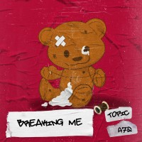 Purchase Topic - Breaking Me (CDS)