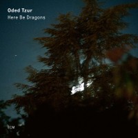 Purchase Oded Tzur - Here Be Dragons