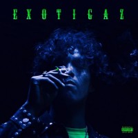 Purchase A.Chal - Exotigaz