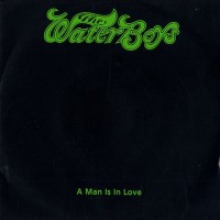 Purchase The Waterboys - A Man Is In Love (CDS)