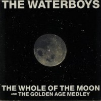 Purchase The Waterboys - The Whole Of The Moon (Vinyl)