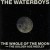 Buy The Waterboys - The Whole Of The Moon (Vinyl) Mp3 Download