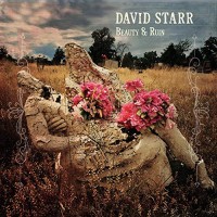 Purchase David Starr - Beauty & Ruin