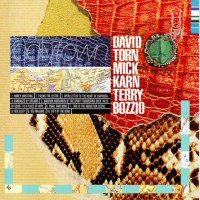 Purchase David Torn - Polytown (With Mick Karn & Terry Bozzio)