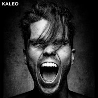 Purchase Kaleo - I Want More / Break My Baby (CDS)