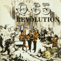 Purchase Q65 - Revolution