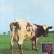 Buy Pink Floyd - Atom Heart Mother, The High Resolution Remasters CD1 Mp3 Download
