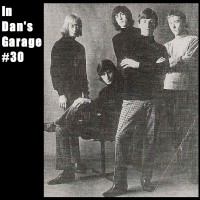 Purchase VA - In Dan's Garage...#30 (Vinyl)