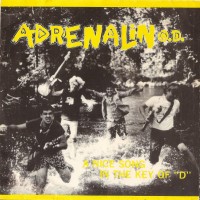 Purchase Adrenalin O.D. - A Nice Song In The Key Of "D" (VLS)