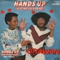 Buy Ottawan - Hands Up (VLS) Mp3 Download