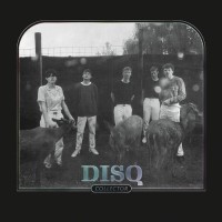 Purchase Disq - Collector