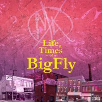 Purchase Big Kahuna OG - Life & Times Of Bigfly (With Fly Anakin)