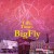 Buy Big Kahuna OG - Life & Times Of Bigfly (With Fly Anakin) Mp3 Download