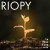 Buy Riopy - Le Rêve D'une Note Mp3 Download