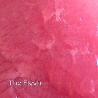 Purchase Prince - The Flesh