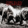 Buy Gotthard - #13 Mp3 Download