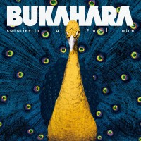 Purchase Bukahara - Canaries In A Coal Mine