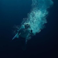 Purchase Lapsley - Through Water