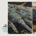 Buy Sea Wolf - Through A Dark Wood Mp3 Download