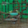 Buy Ghost Rhythms - Live At Yoshiwara Mp3 Download