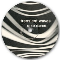 Purchase Transient Waves - Born With A Body And Fucked In The Head (EP)
