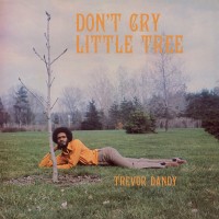 Purchase Trevor Dandy - Don't Cry Little Tree (Vinyl)