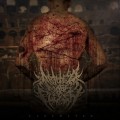 Buy Abated Mass Of Flesh - Lacerated Mp3 Download