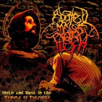 Purchase Abated Mass Of Flesh - Moth And Rust In The Temple Of Putridity (EP)