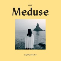 Purchase VA - Club Meduse