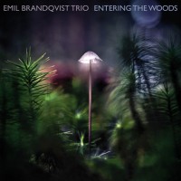 Purchase Emil Brandqvist Trio - Entering The Woods