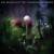 Buy Emil Brandqvist Trio - Entering The Woods Mp3 Download