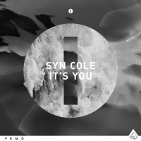 Purchase Syn Cole - It's You (CDS)
