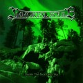 Buy Immortal Souls - Under The Northern Sky Mp3 Download