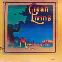 Purchase Clean Living - Meadowmuffin (Vinyl)