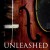 Buy Violin Shredder - Unleashed Mp3 Download