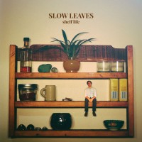 Purchase Slow Leaves - Shelf Life