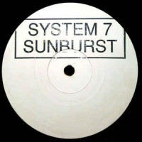 Purchase System 7 - Sunburst Promo 1 (VLS)