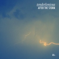 Purchase Tenderlonious - After The Storm